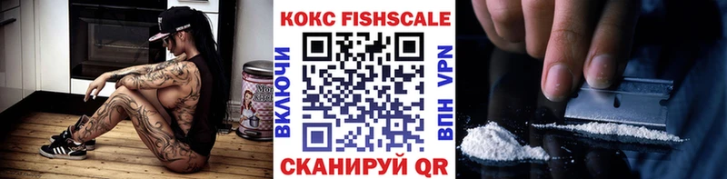 как найти закладки Колпашево Cocaine Fish Scale