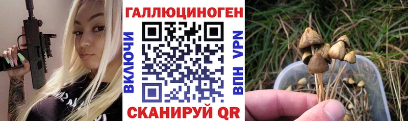 Псилоцибиновые грибы прущие грибы купить наркотики сайты Колпашево