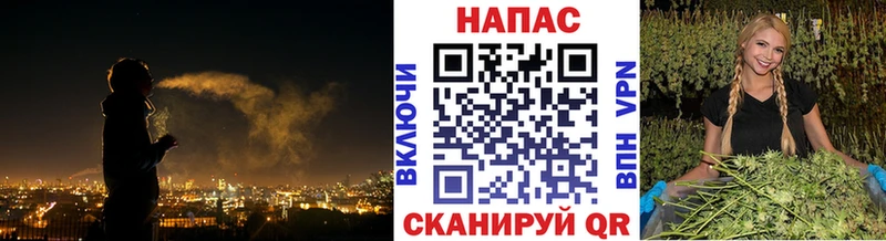 блэк спрут ссылка Колпашево Бошки марихуана Amnesia